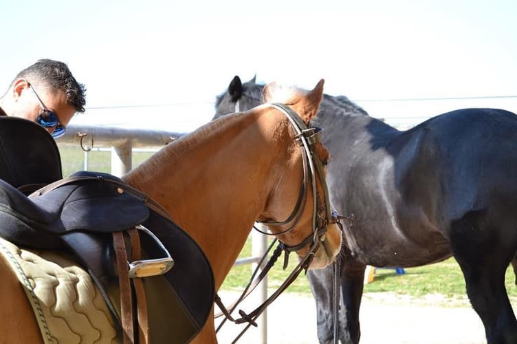 Immagine - Italia - Basilicata: i sassi di Matera ed il Parco della Mur