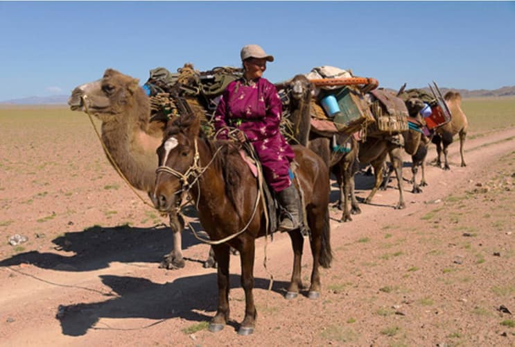 Immagine - La steppa del deserto del Gobi