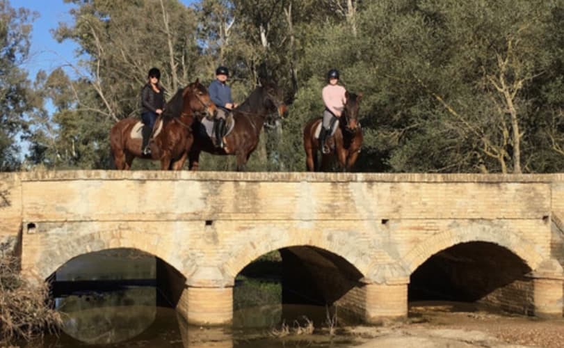 Immagine - Andalusia: piste andaluse