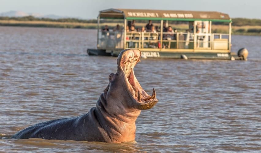 Imagen -  Ruta Gran Trek - Opcion Classic - 14 días por Sudáfrica y Suazilandia: Johannesburgo, Kruger y Ciudad del Cabo