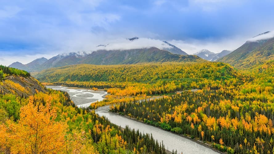 Podoba - Summer in Alaska - Post Cruise