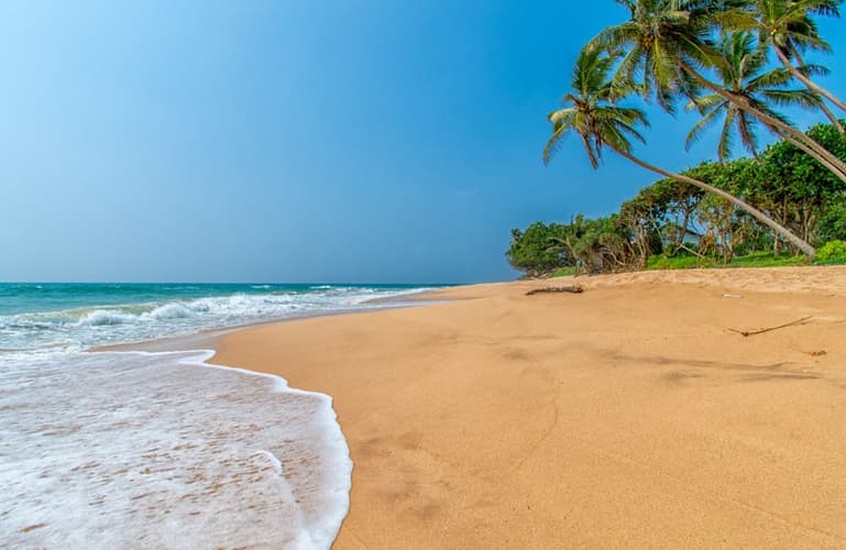 Imagem - Nature’s Peaks to Paradise Shores - 04 Nights 05 Days Sri Lanka Tour Package