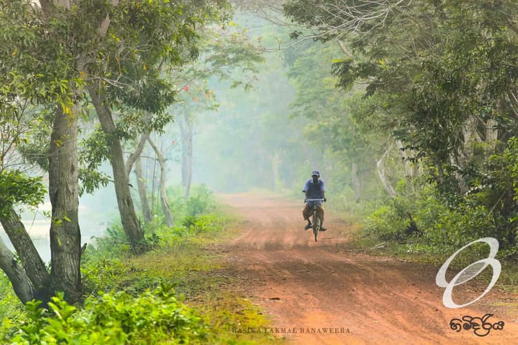 Immagine - SRI LANKA CULTURE TOUR