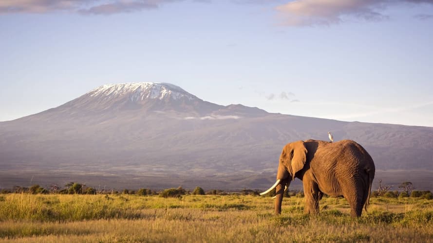 Image - Extensión a Amboseli - Superior Lodge - 2 Noches