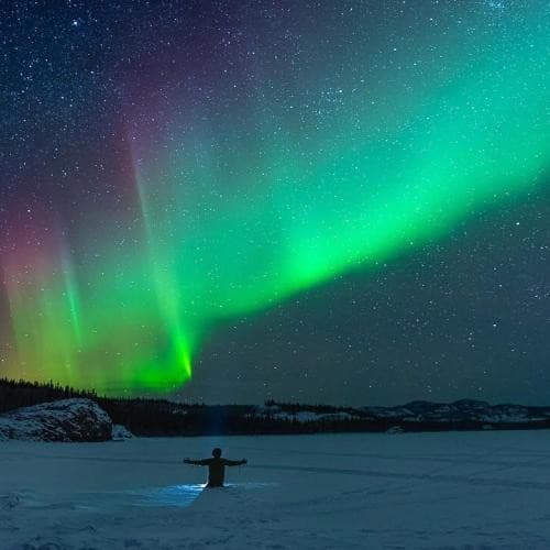 画像 - Yukon Aurora Viewing with Arctic Range Adventure - 4 Días