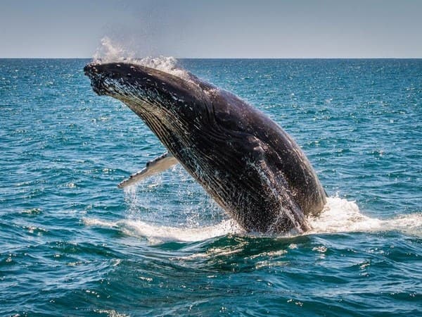 תמונה - Ceylon Discovery Trail