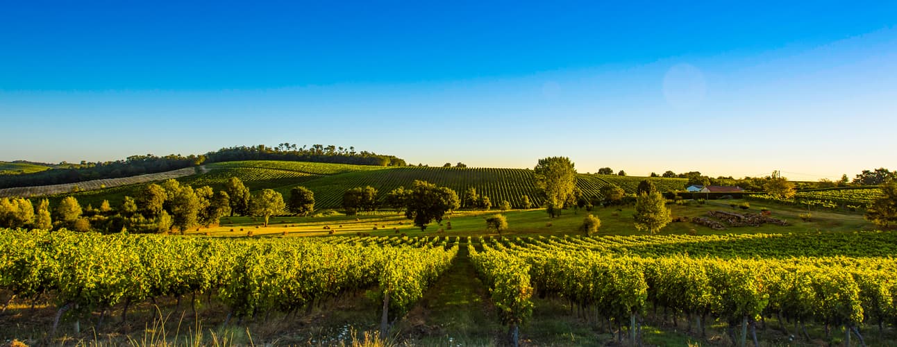 Image - Tesoros del Sur de Francia