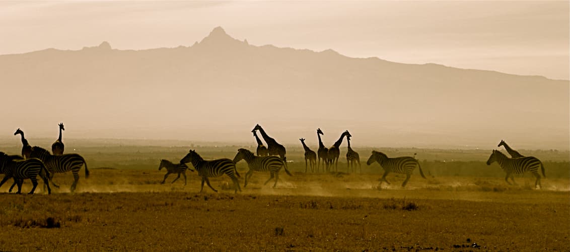 Image - Sudafrica I con Kruger (incluidos vuelos domesticos)