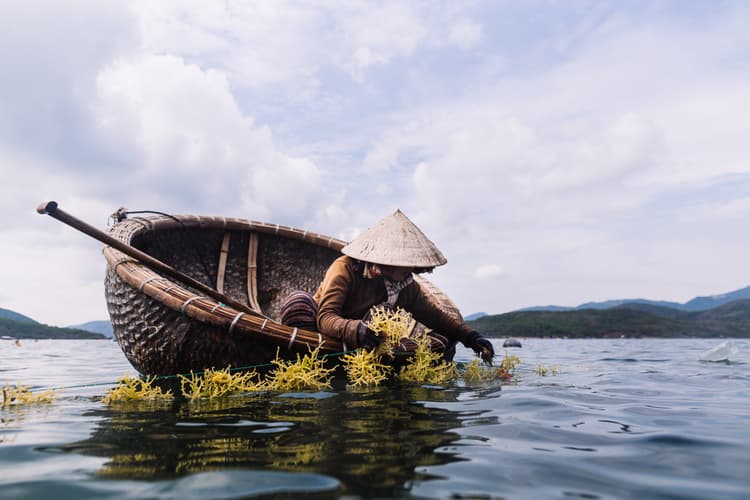 Image - Vietnam Económico