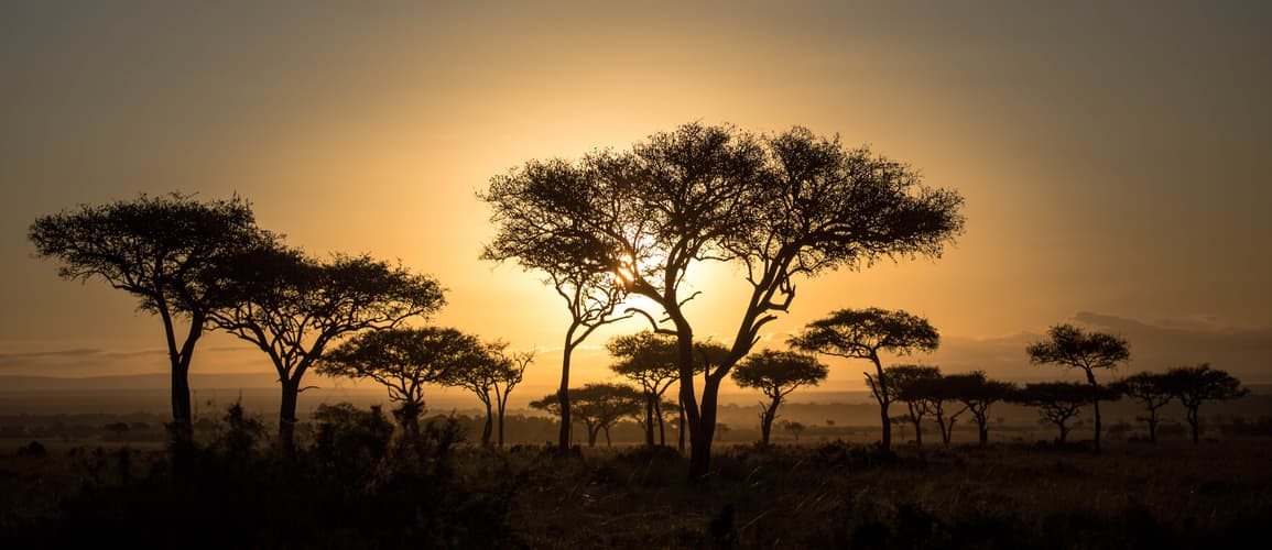 Imagem - Safari Bora en 4x4 - Kenia y Tanzania (Nairobi - Nairobi)