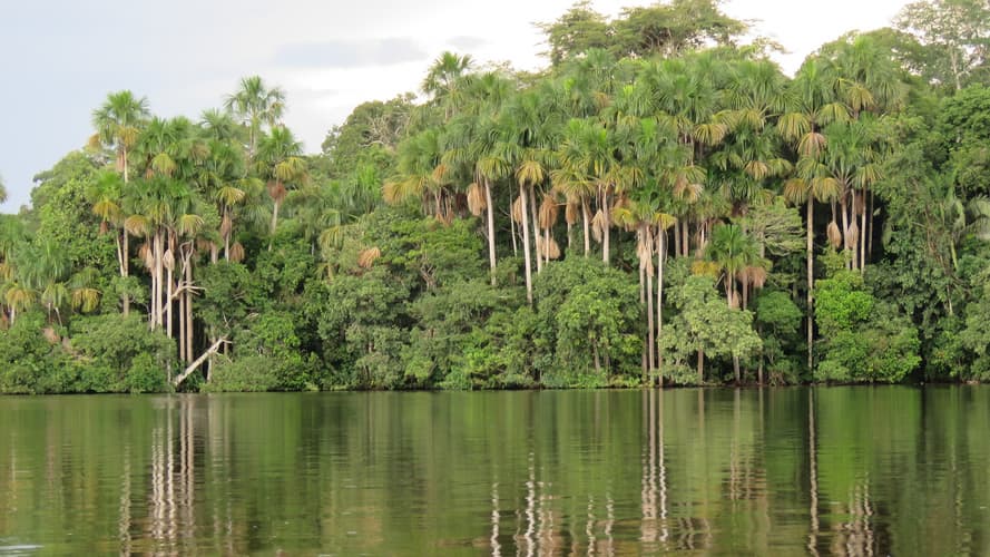 Image - Extension Amazonia
