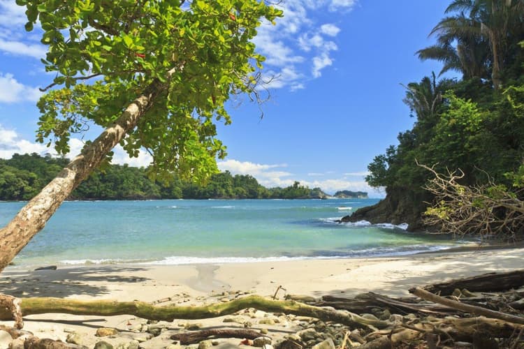Imagem - Playa Manuel Antonio de ensueño, escapada corta
