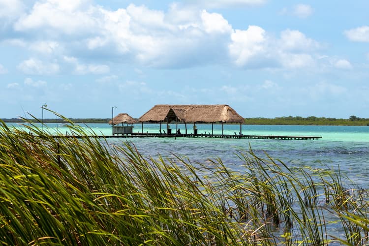Bild - Naturaleza y Cultura, Yucatán y Campeche - Privado