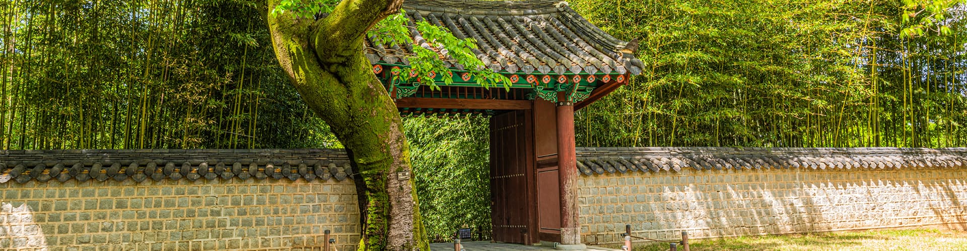 Bild - Essential South Korea