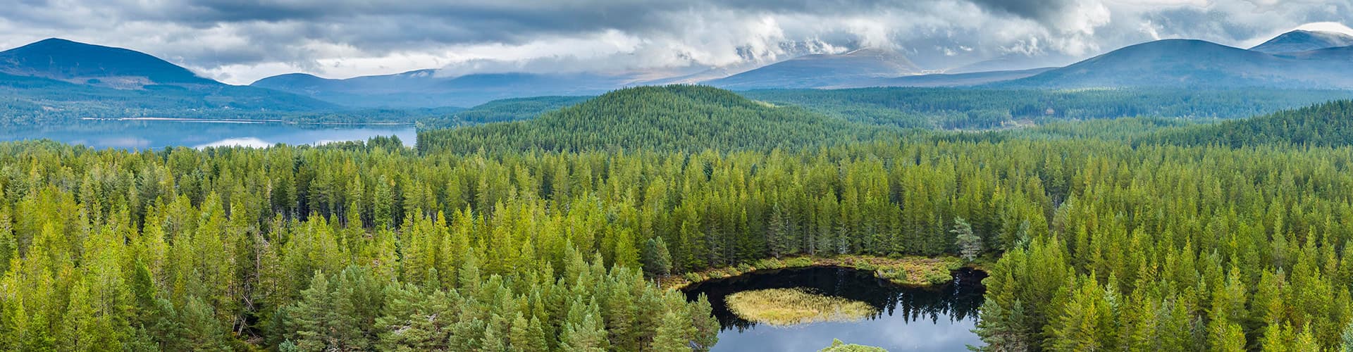 Bilde - Premium Scotland
