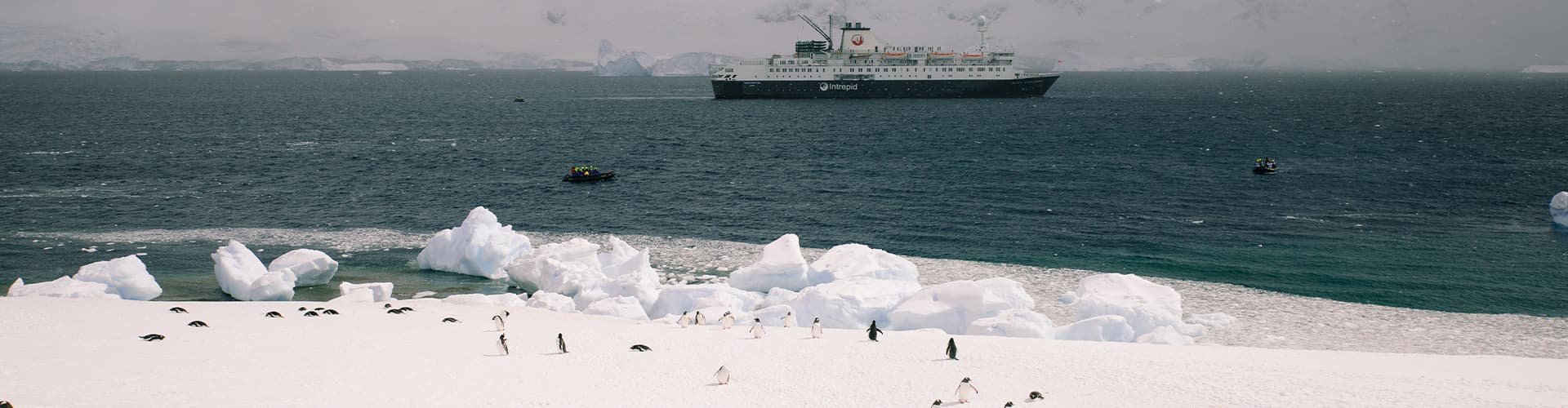 Image - Ultimate Antarctica: Falklands, South Georgia & the Antarctic Circle