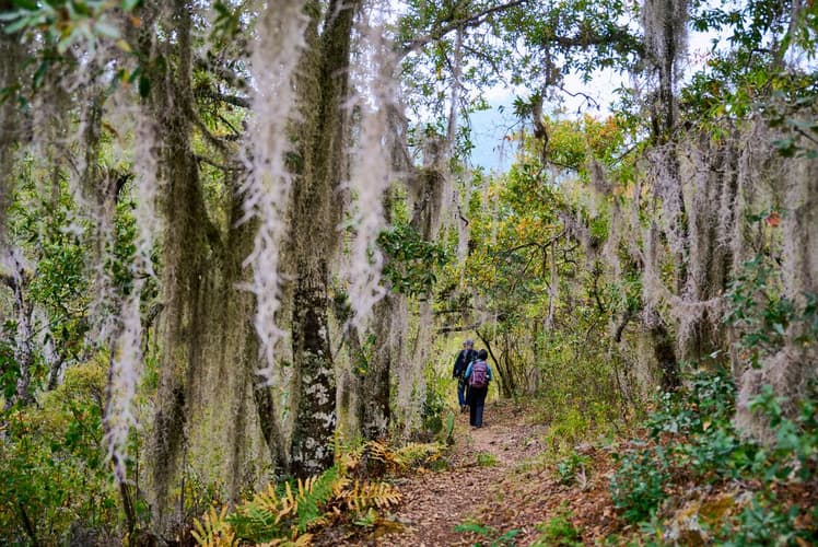 Bild - Hiking in Mexico: Oaxaca’s Indigenous Highlands