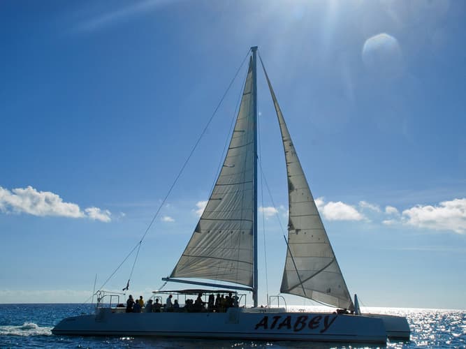 Imagen - Punta Cana, Dominican Republic con tour Isla Saona