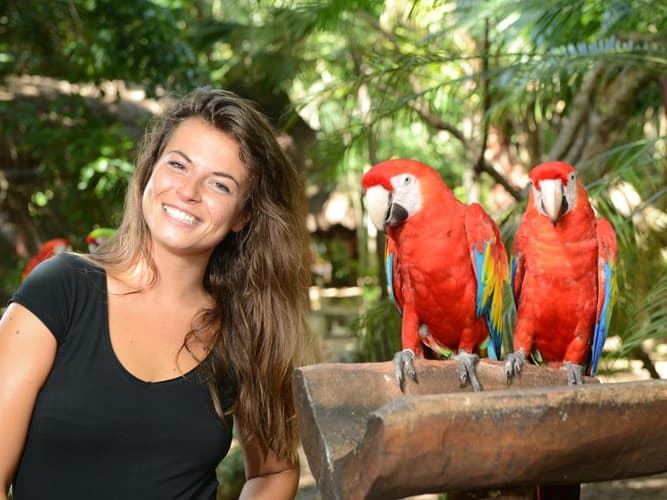 Imagem - Entradas a Xcaret baratas en Playa del Carmen, Mexico