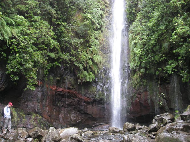 Imagen - Senderismo por las Levadas de Madeira