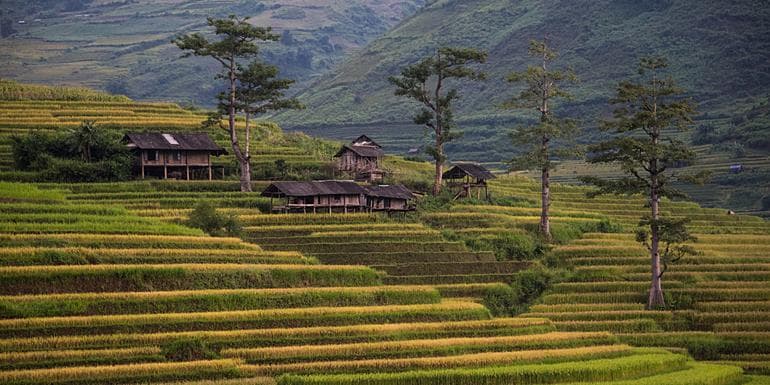 Bild - Classic Vietnam: Sapa to Ho Chi Minh