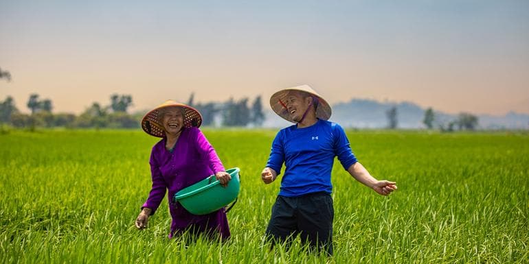 Bilde - Solo-ish Vietnam