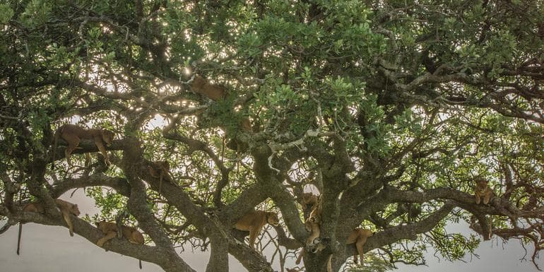 Imagem - Nairobi to Joburg Overland: Craters & Camping