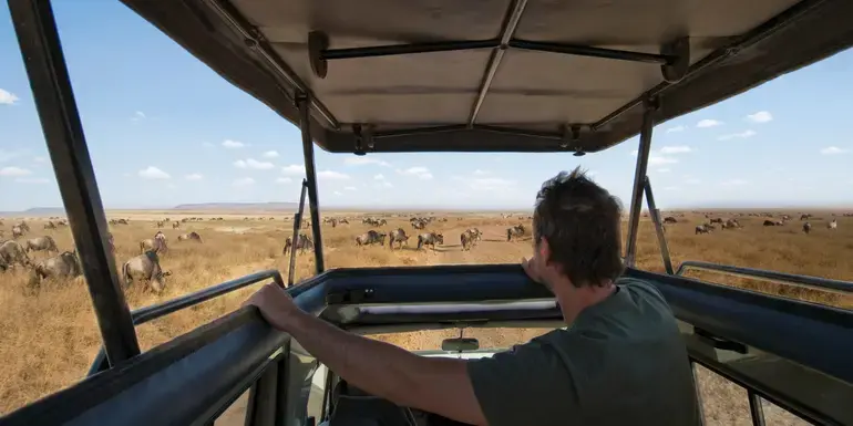 Bild - Unforgettable Kenya: Masai Mara & Lake Nakuru