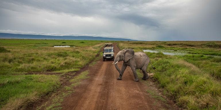 Bilde - Kenya to Zimbabwe Overland Safari & Participation Camping