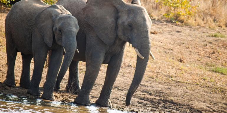 Kuva - Journeys: Cape Town, Kruger & Namibia