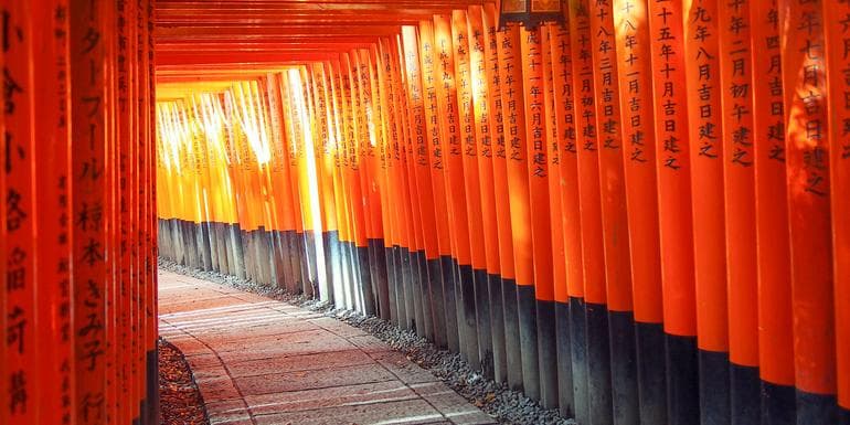 Image - Active Japan: Kyoto to Tokyo Island Hopping