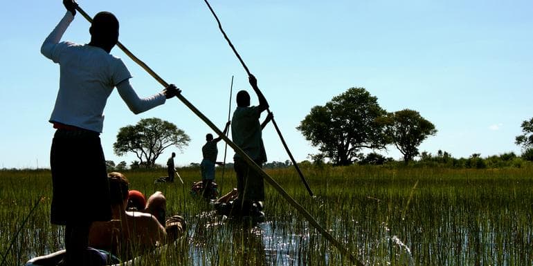 Образ - Delta & Falls Eastbound: Baobab Trees & River Views