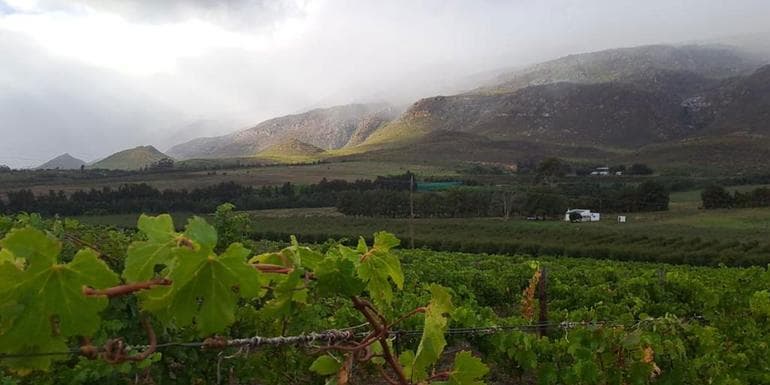 Bilde - South Africa: Cape Town & The Garden Route