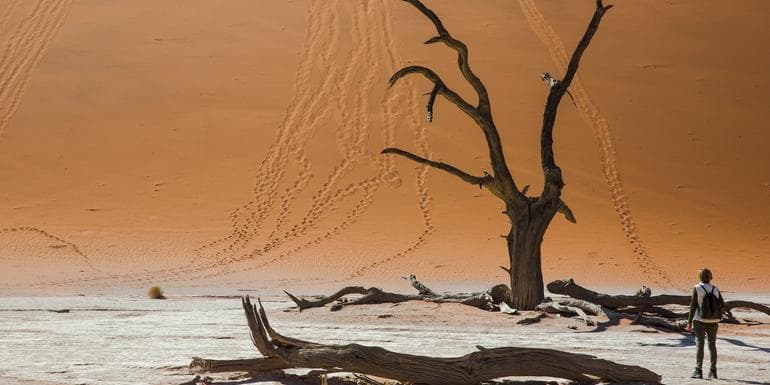 Image - Dunes, Deltas & Falls Discoverer