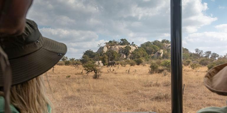 Image - Southern Africa: National Parks of Zimbabwe & Kruger Wildlife Tracking