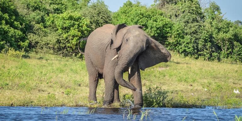 Образ - Botswana & Victoria Falls Adventure