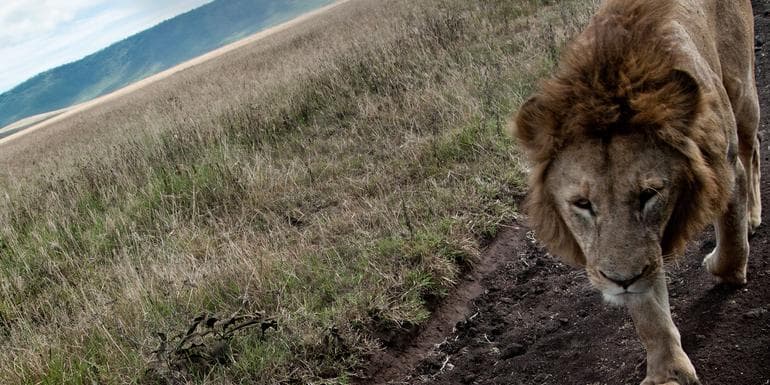 图像 - Tanzania to Zanzibar: White Sands & the Wilderness