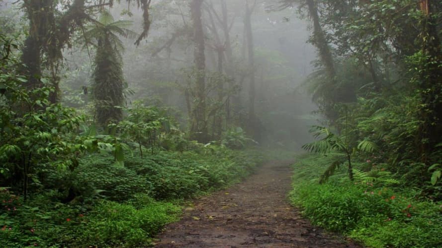 Image - Costa Rica Natural Paradise