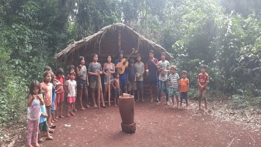 Image - Tour Privado de 2 Días: Raíces de la Selva Tropical — Patrimonio Guaraní, Mate y Rescate de Fauna
