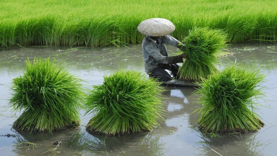 Imagen - Klassisches China mit Jangtse