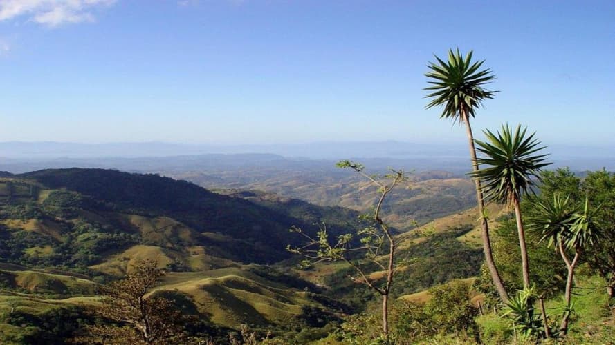 Immagine - Costa Rica: Merveilles Vivantes
