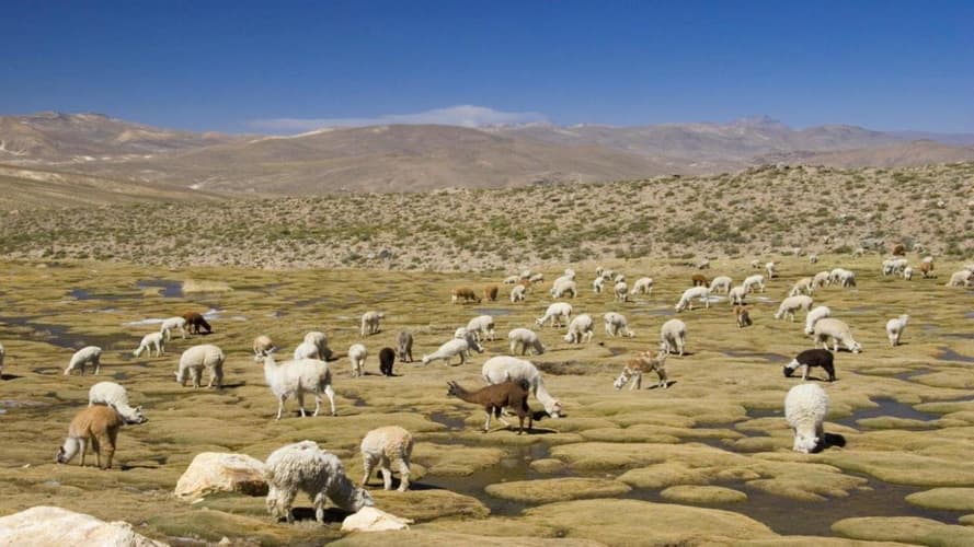 Imatge - Huaraz, the Heart of the Mountains - Semi-private tour