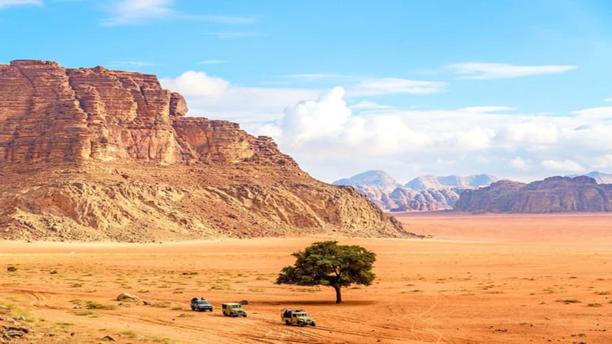 Bilde - Paysages Jordaniens - 5* - 8 Jours