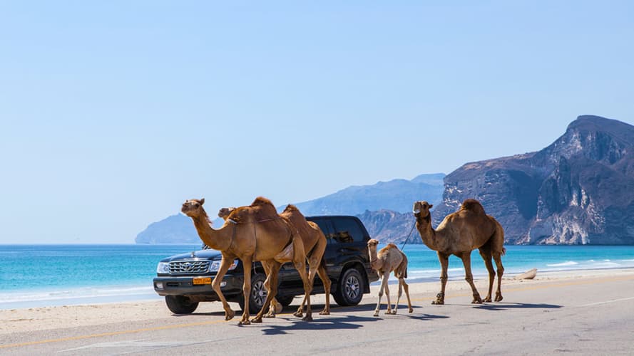 Immagine - Partenza garantita -Oman: L’eco delle Mille Notte - 7 giorni categoria di premio