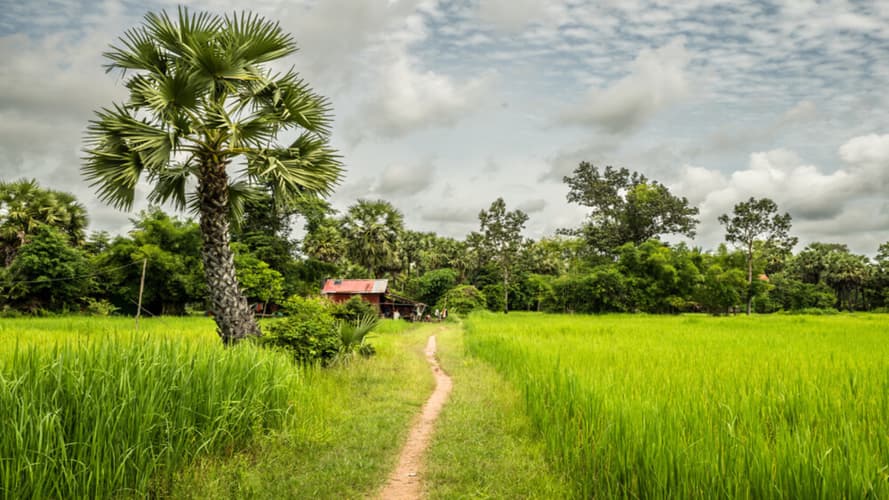 Image - Circuit Cambodge Splendeurs et Traditions