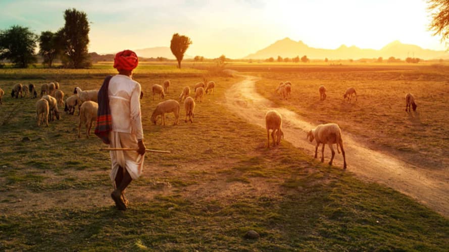 صورة - Les Routes Secrètes du Rajasthan