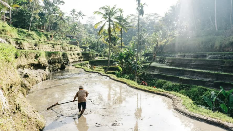 Образ - Volcans de Java aux rizières de Bali