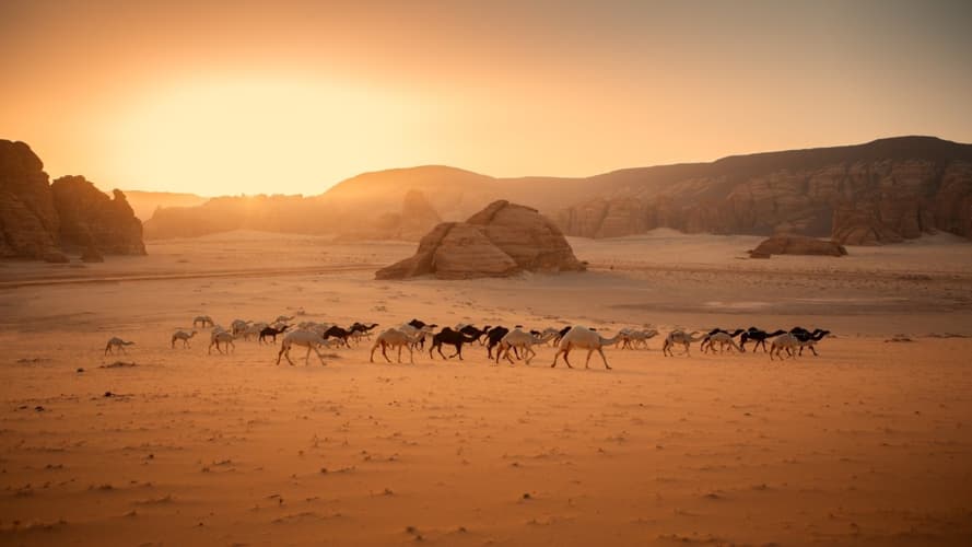 Imagem - AlUla Signature Trip