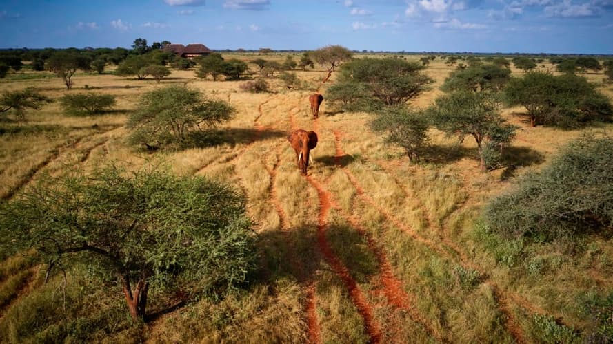 Imagem - Voyager Beach Resort & Tsavo Safari