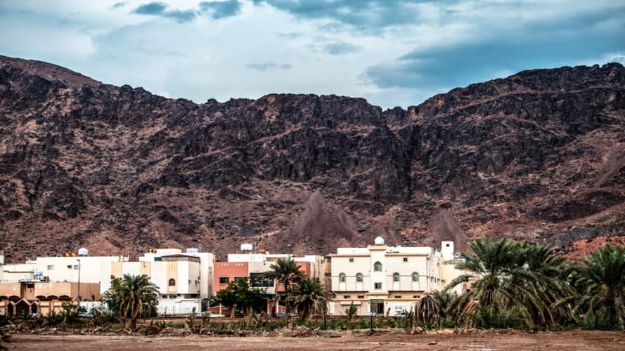 Imagen - Muscat Paquete "Value" :5N